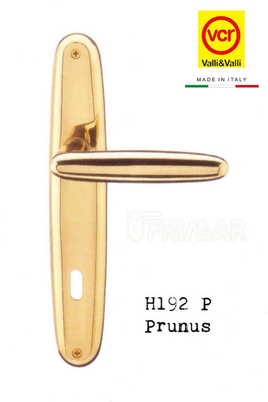 Maniglia porta Valli e Valli Prunus H192 P8 Ottone lucido D.70 foro patent