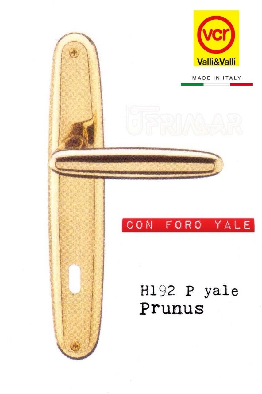 Maniglia porta Valli e Valli Prunus H192 P8Y Ottone lucido D.85 foro Yale